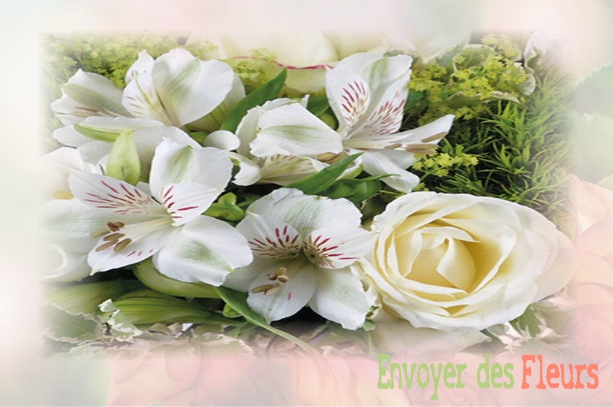 envoyer des fleurs à à SAINT-HILAIRE-LE-CHATEL